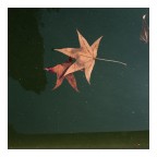 Autunno liquido Autunno liquido