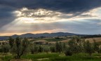 Questa estate, mentre sembrava che stesse arrivando un temporale.