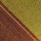 DRONE - 002 DRONE - 002