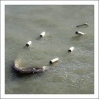 Devastazione 3 Devastazione 3