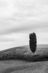 IMG_4572 IMG_4572