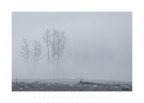 Desolation Desolation