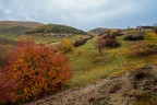 Colori d'Autunno