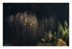 un raggio di luce sul crinale