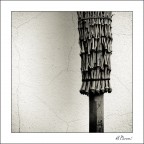 Broomstick study - 2006 - Nr.01 Broomstick study - 2006 - Nr.01