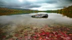 Autumn lake Autumn lake