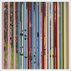 Autunno in gabbia Autunno in gabbia