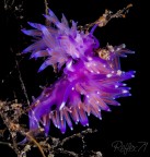 L'incontro... L'incontro...