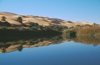 Scansione da diapositiva.

Propongo questa scansione da vecchia diapositiva, pur con tutti i limiti annessi e connnessi, perch mi  venuta un po' di nostalgia di questi luoghi bellissimi che, attualmente, sono interdetti al turismo. Siamo infatti nel Sahara libico e questo  il lago Gabraoun, un vero e proprio lago che appare come un miraggio in mezzo ad infinite distese di sabbia.