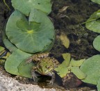 Kiss me... Kiss me...