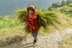 Nepal.