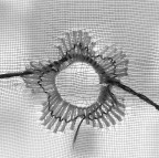 *** Finto fiore ***