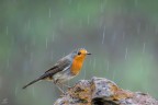 ..under water.. ..under water..