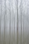Novembre2018 Novembre2018