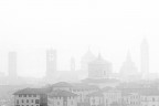 In the fog