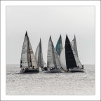 Vitamina e le altre Vitamina e le altre