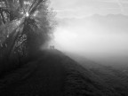 passeggiando lungo l'Adda nella nebbia.