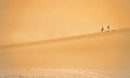 Scansione da diapo.
Sahara libico