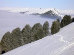 Immagine scattata alle ore 7.41 del 19 03 2006 salendo lungo la pista da sci