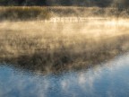 nebbiolina di prima mattina nebbiolina di prima mattina