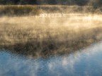 l'Adda al mattino colpito dai raggi del sole offre spettacoli bellissimi.