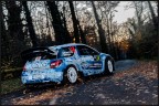 leaves and cars