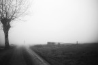 Nella nebbia