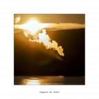 Segnali di fumo Segnali di fumo