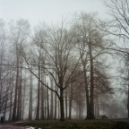 C'è un uomo che cammina nella nebbia C'è un uomo che cammina nella nebbia