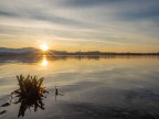 L'alba del nuovo anno , lago di Pusiano 

Buon Anno