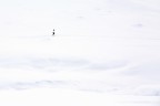 Passeggiando su un mare di neve Passeggiando su un mare di neve