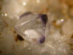 Minerali della pietra di Luserna
Dimensione cristallo 1 mm.