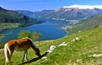 dintorni montani di Sorico (CO), il Lago di Como