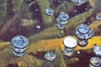 Montorfano (CO) - bolle d'aria imprigionate nel ghiaccio del lago omonimo