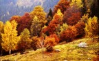 Civenna (CO) dintorni del Rifugio Martina al Parco S.Primo