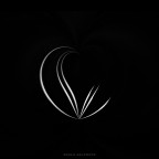 Metamorfosi Metamorfosi