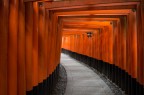 Fushimi inari Fushimi inari