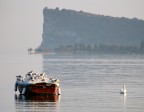 sullo sfondo la Rocca di Manerba (Lago di Garda)