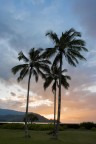Hanalei Bay - Hawaii