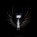 Metamorfosi Metamorfosi