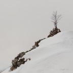 ST_DSC6599