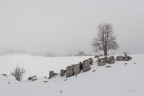 Snow-and-fog_DSC6563 Snow-and-fog_DSC6563