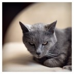 23022019_A731052-4 23022019_A731052-4