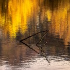 quasi astratto quasi astratto