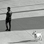 fedeli contrasti fedeli contrasti