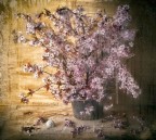 Primavera