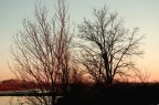 Campagna Campagna