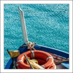 P come Pernaccia P come Pernaccia