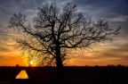 il tramonto e l'albero..... il tramonto e l'albero.....