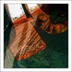 T come Timone T come Timone